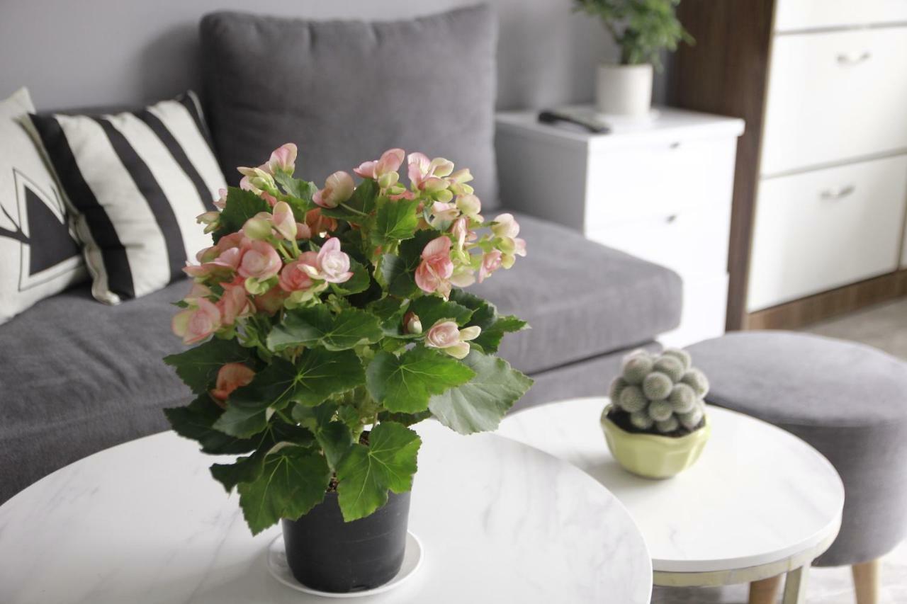 Grey House Hotel Dalat Luaran gambar